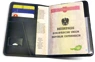 Preview: Pilot passport set