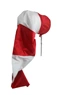 Windsocks with steel frame