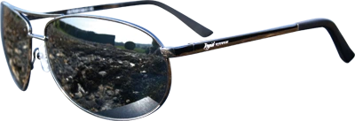 Sunglasses Altius